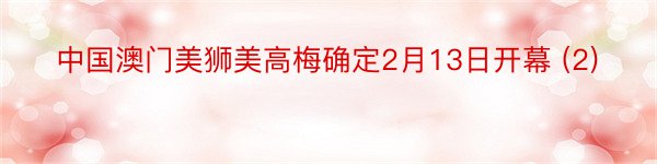 中国澳门美狮美高梅确定2月13日开幕 (2)
